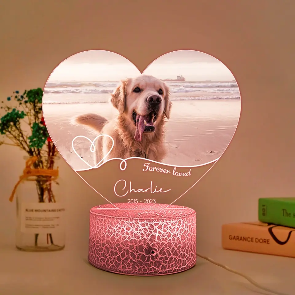 Forever Loved Personalized Photo LED Light Memorial Gift - Image 4