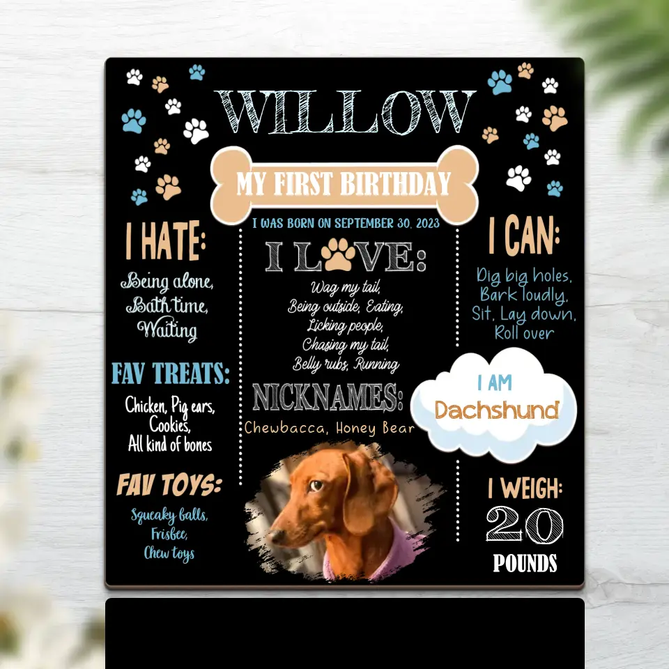 My Dog First Birthday Custom Wooden Plaque Gift For Dog Lover