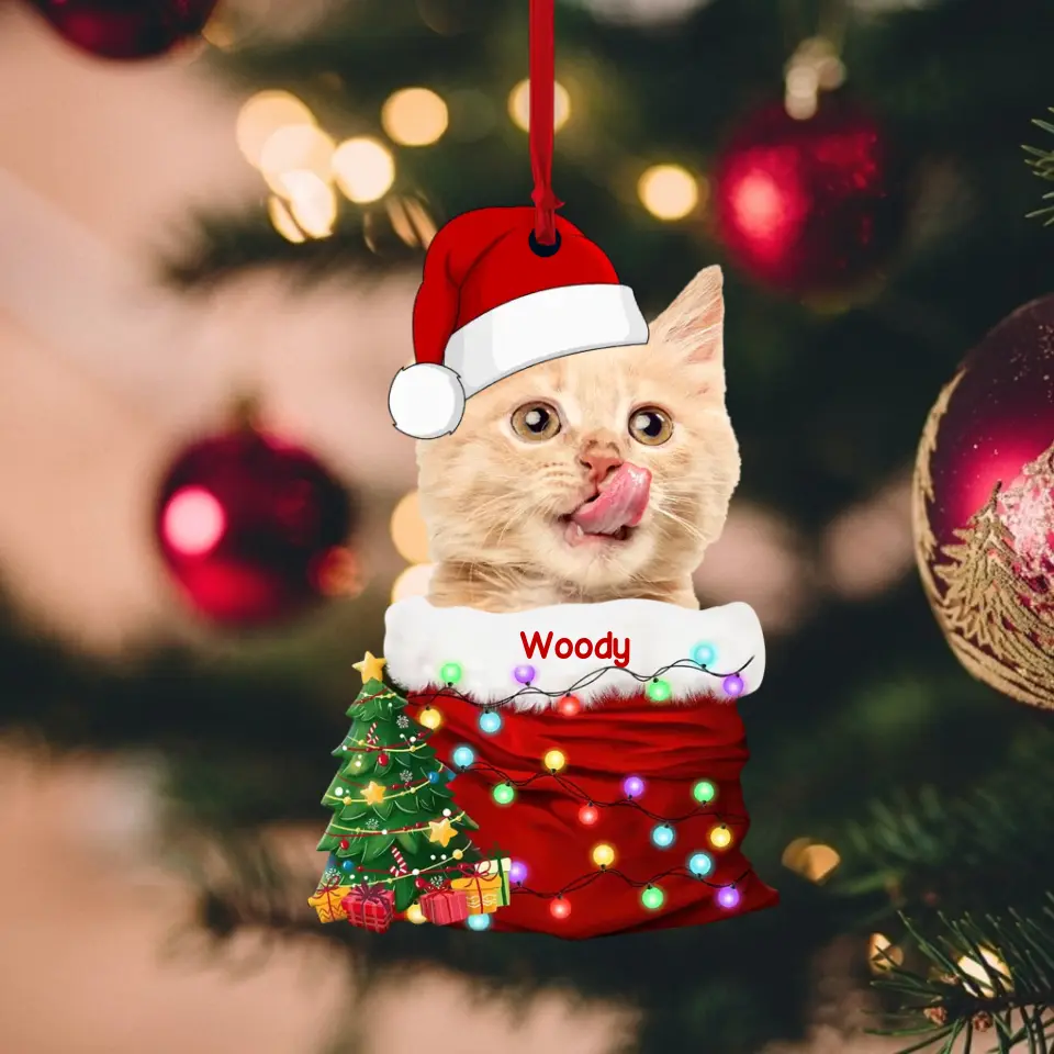 Pet In The Santa's Pocket - Personalized Upload Photo Acrylic Ornament - Christmas Gift for Pet Lovers - Image 2