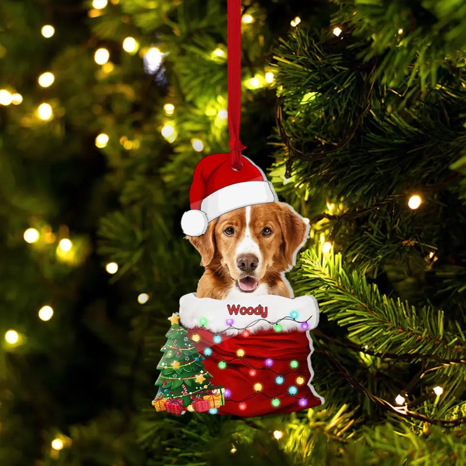 Pet In The Santa's Pocket - Personalized Upload Photo Acrylic Ornament - Christmas Gift for Pet Lovers - Image 3