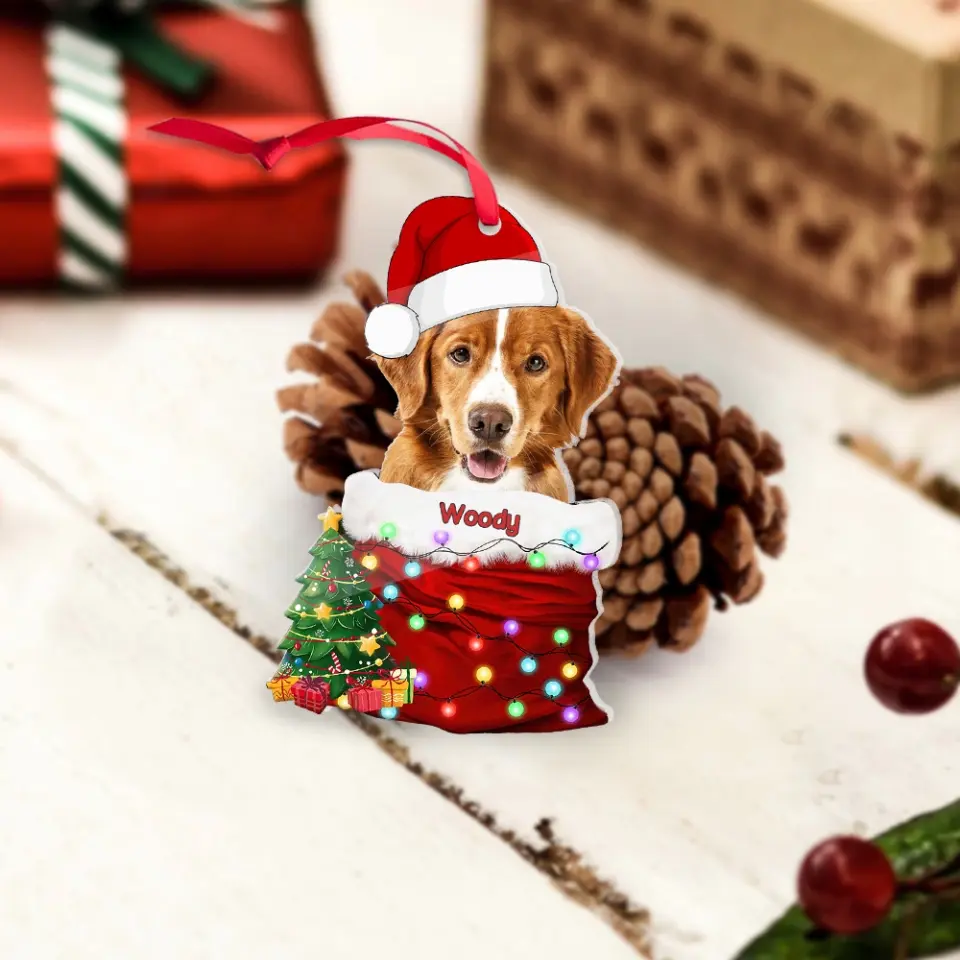 Pet In The Santa's Pocket - Personalized Upload Photo Acrylic Ornament - Christmas Gift for Pet Lovers - Image 4