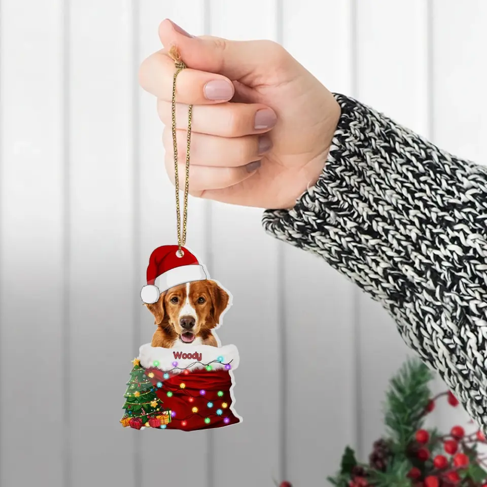 Pet In The Santa's Pocket - Personalized Upload Photo Acrylic Ornament - Christmas Gift for Pet Lovers - Image 5