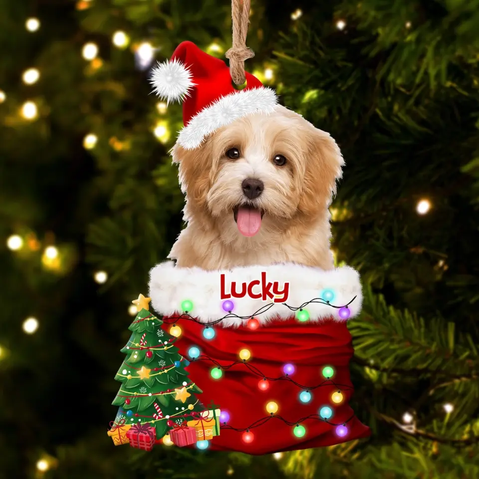 Pet In The Santa's Pocket - Personalized Upload Photo Acrylic Ornament - Christmas Gift for Pet Lovers - Image 6