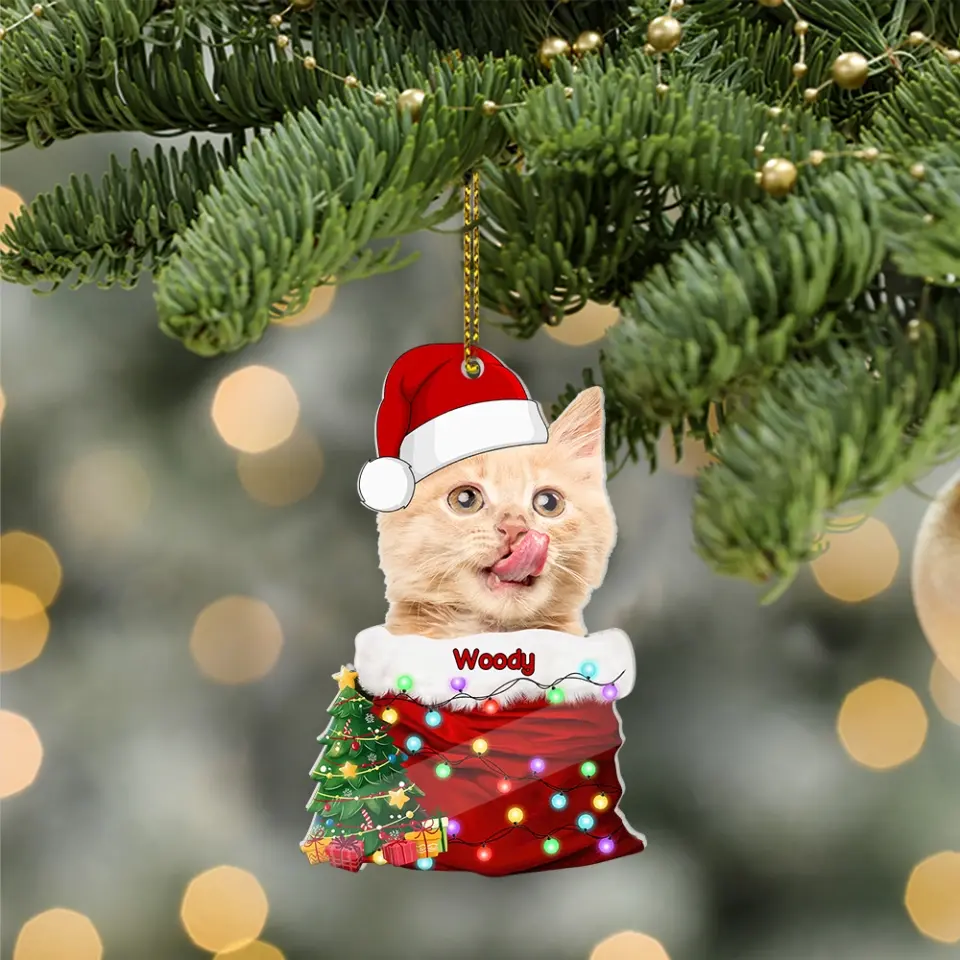 Pet In The Santa's Pocket - Personalized Upload Photo Acrylic Ornament - Christmas Gift for Pet Lovers - Image 7