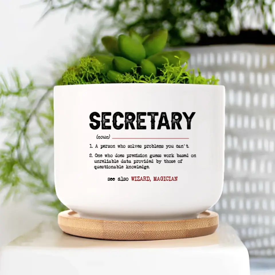 Secretary Special Plant Pot - Image 2