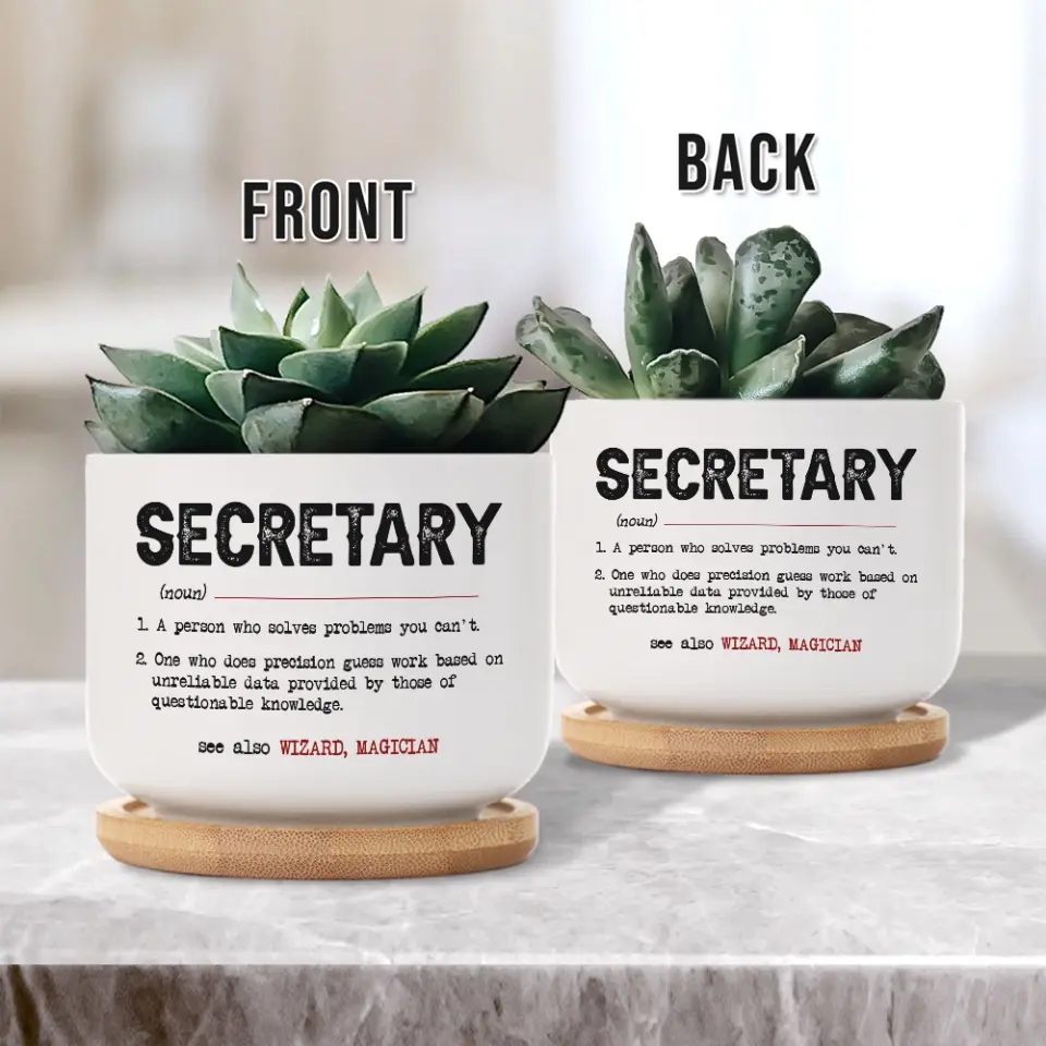 Secretary Special Plant Pot - Image 3
