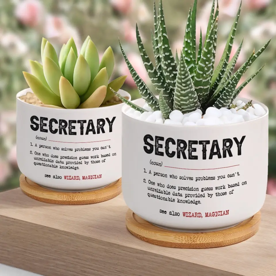 Secretary Special Plant Pot - Image 5